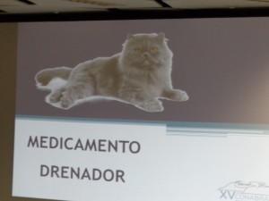 DSC02429